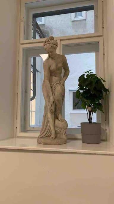 Apartment Luxurious In The Centre Of Wien