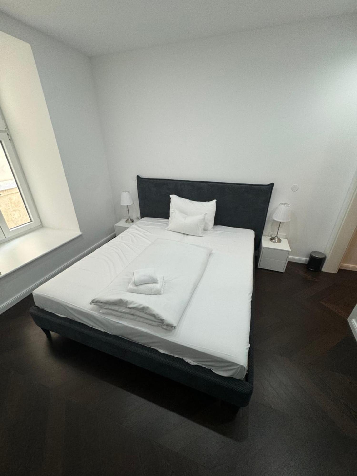 Luxurious In The Centre Of Viena